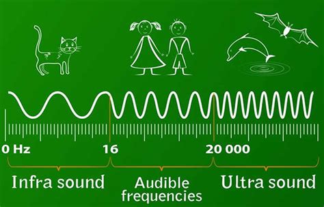 field  sonogenetics  sound waves  control  behavior