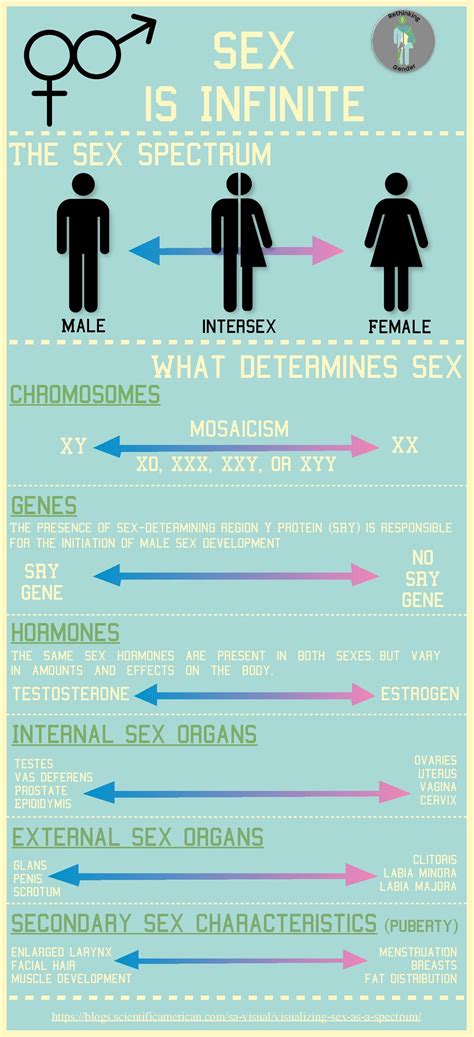 sex spectrum rethinking gender