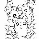 Hamster Coloring Pages Hamsters Color Sun Flower Happy Printable Toddler Will sketch template