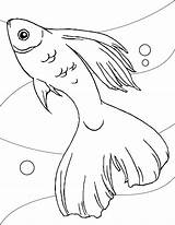 Coloring Freelargeimages Goldfish sketch template