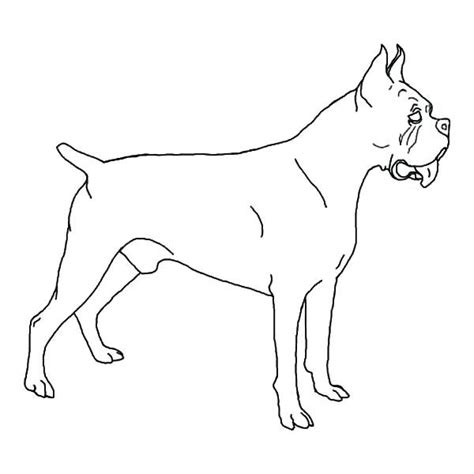 printable dog coloring pages ideas  kids  coloring sheets