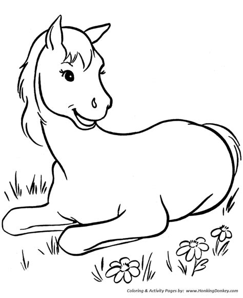 horse coloring pages printable horse colt coloring page honkingdonkey