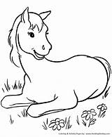 Horse Coloring Pages Colt Printable Young Horses Print Honkingdonkey Kids Pony sketch template
