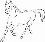 Coloring Pages Printable Horse Horses Spirit Racing sketch template