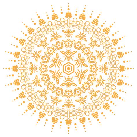 mandala vector png picture png  png