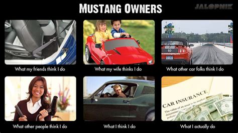 people  ford mustang owners