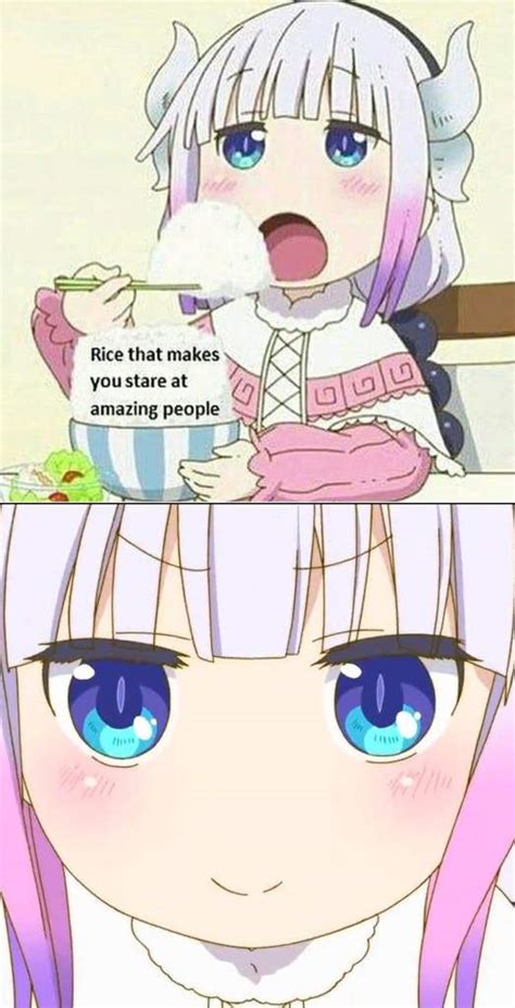clean anime memes anime amino