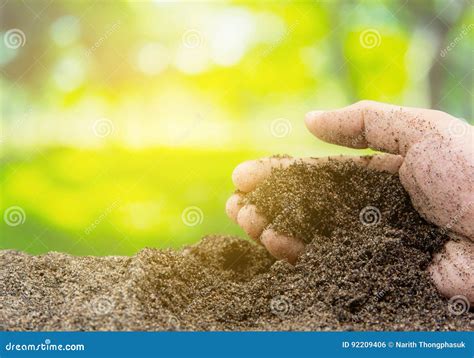 soil  hand  organic garden agriculture stock photo image