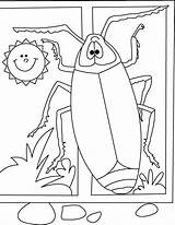 Coloring Cockroach Pages Kids Printable Seek Hide Bestcoloringpagesforkids Playing Sun Animals sketch template