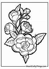Roses Iheartcraftythings sketch template