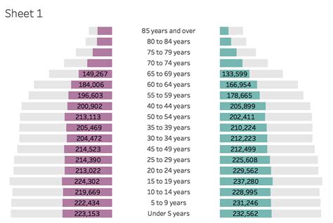 How To Visualize Age Sex Patterns With Populations