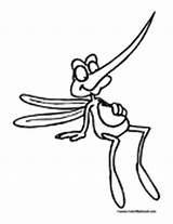 Mosquito Coloring Colormegood Animals sketch template