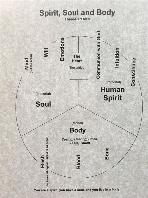 chart spirit soul  body  tripartite man charts believers