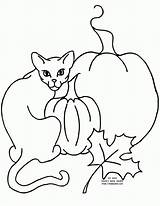 Coloring Cat Pages Halloween Scary Spooky Comments Library Clipart Coloringhome sketch template