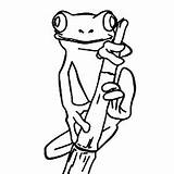 Frogs Coloriage Frog Grenouille Justcolor Grenouilles Turtles Coloriages sketch template