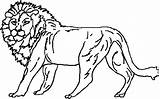 Narnia Leu Colorat Aslan Planse Desene Narasimhar Trafic Mancare Lakshmi sketch template