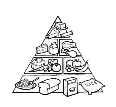 food pyramid drawing    clipartmag