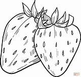 Strawberries Supercoloring sketch template