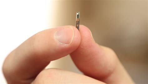 embedded microchips dangerous   swedes  pets