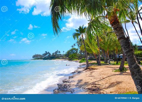 relaxing   beach royalty  stock  image