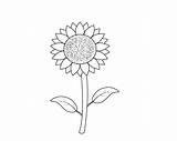 Sunflower Pages Coloring Printable Print Preschoolers sketch template