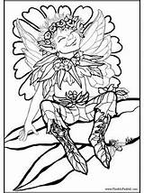 Pages Coloring Pheemcfaddell Fairy Flicker Craft sketch template