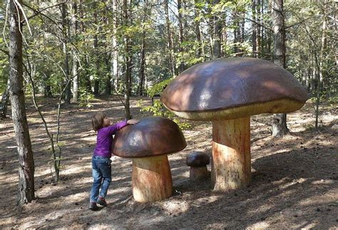 mushroom park  pilka  puzzle