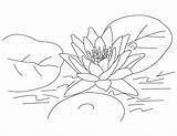 Coloring Lotus Pages Flower Printable Popular sketch template