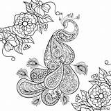 Coloring Pages Peacock Stress Zentangle Totem Paisley Adult Printable Vector Flowersfor Anti Drawing Illustration Stock Flowers Getdrawings Tattoo Sketch Descargar sketch template