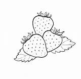 Strawberries Printable Drawing Malvorlagen Erdbeeren Ausmalbilder sketch template