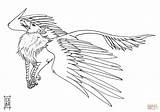 Griffin Coloring Pages Gryphon Printable Morh Color Pioneering sketch template