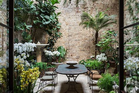 london based interior designer rose uniackes indoor garden