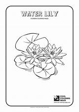 Coloring Water Lily Pages Cool Flowers Snowdrop sketch template
