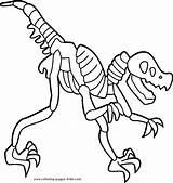 Dinosaur Coloring Pages Bones Skeleton Fossil Printable Drawing Color Kids Clipart Animal Dinosaurs Bone Sheets Print Skull Draw Size Book sketch template