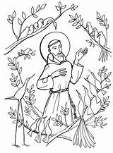 Assisi Francis Saints sketch template