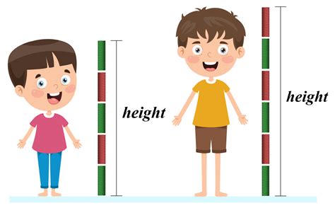 height measuring chart