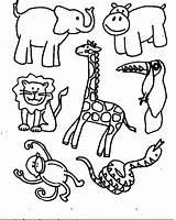 Coloring Animals Pages Print Preschoolers Simple sketch template