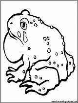 Toad Coloring Fun Pages sketch template