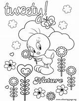 Tweety Coloring Pages Nature Bird Taking Care Flowers Colouring Books Coloriage Info Book Printable Print sketch template