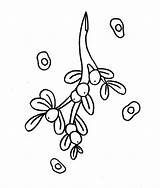 Mistletoe Imgkid sketch template