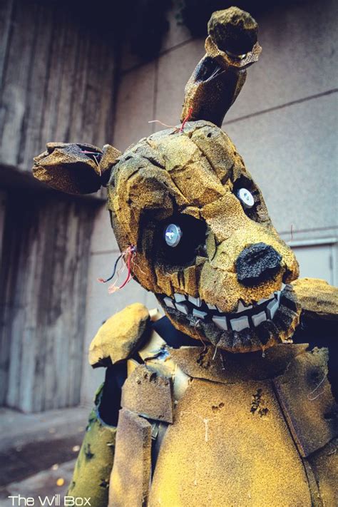 81 Best Images About Spring Trap The Love Expert On