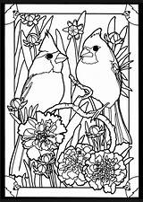 Coloring Pages Birds Glass Stained Cardinal Cardinals Bird Adult Book Beautiful Dover Printable Pairs Adults Patterns Color Publications Mated Doverpublications sketch template