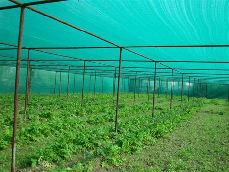manufacturer  knitted fabric agro shed net accura