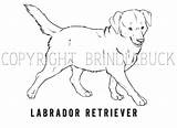 Labs Labrador Purposes sketch template
