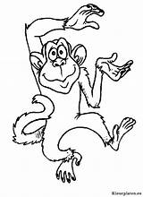 Kleurplaten Apen Dieren Aap Affen Affe Malvorlage Topkleurplaat Malvorlagen Mewarnai Monkeys Gratis Monyet Singe Coloriages Aapje Singes Swingende Dansende Gekke sketch template