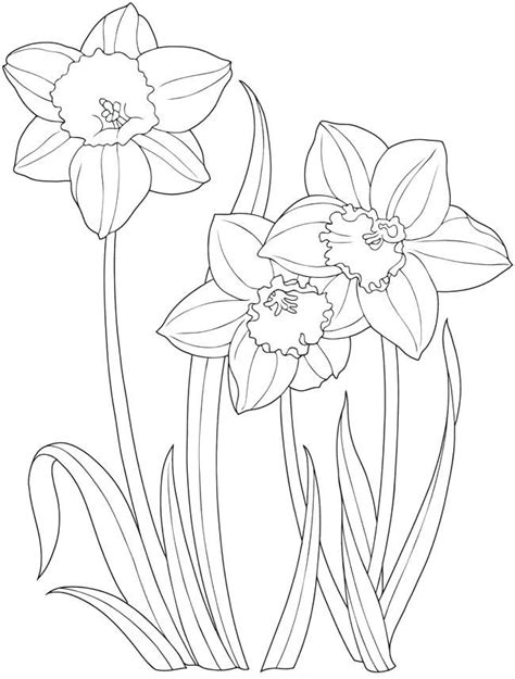 easter flower coloring pages bunny  eggs coloring pages easter