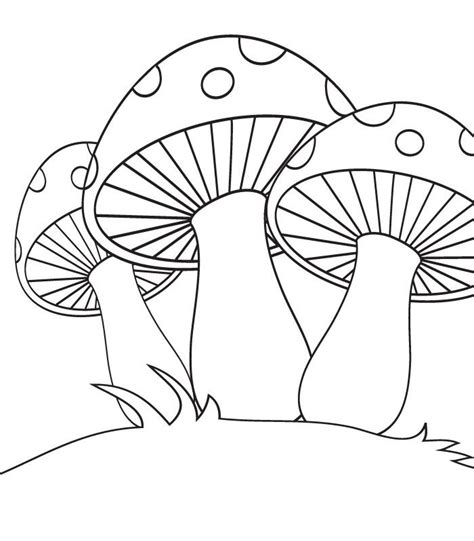 coloring mushroom coloring pages coloring books stuffed mushrooms