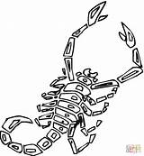 Scorpion Coloring Pages Scorpions Printable Animals Color Cartoon Drawing Preschool Gif Kids Supercoloring Getdrawings Silhouettes sketch template