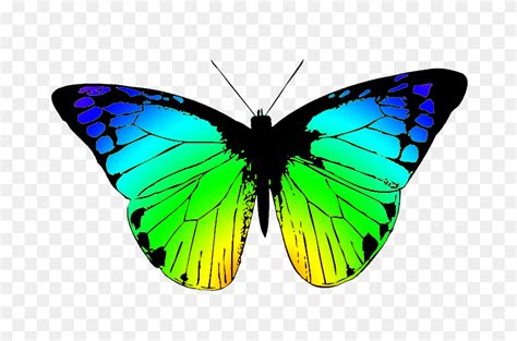 butterfly wings clipart stock butterfly wings  daftopia dslm