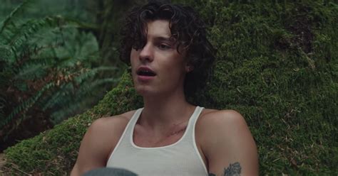 Shawn Mendes Drops ‘wonder’ New Single Video Watch